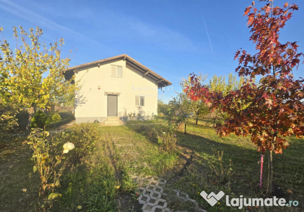 Casa 3 camere si curte cu pomi fructiferi 