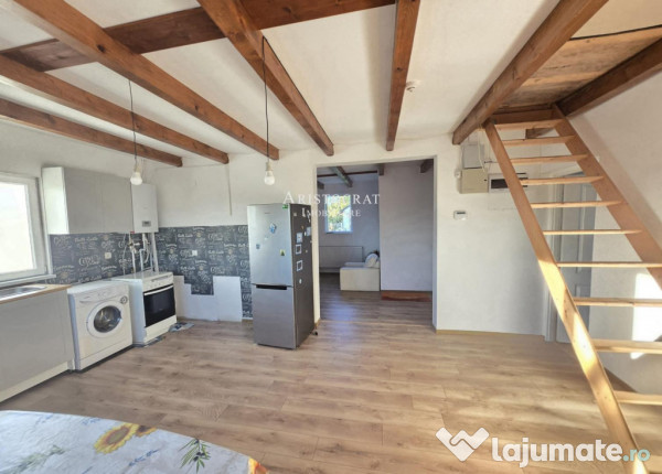 Casa 3 camere si curte cu pomi fructiferi 