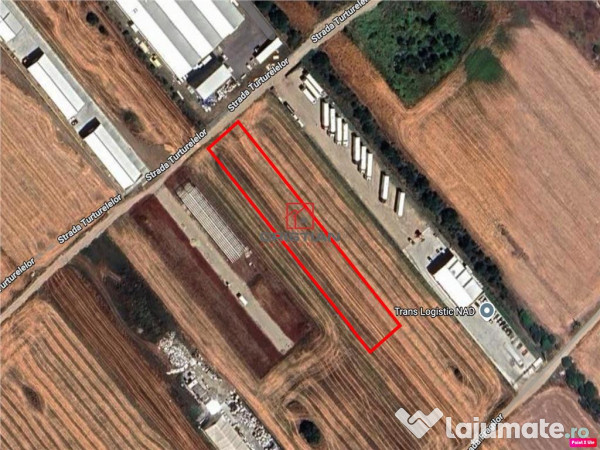 Teren Magurele - Varteju - Centura, ILFOV