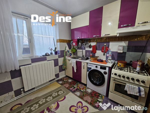 Casa cu etaj si mansarda, 7.200 mp teren, in comuna Probota 