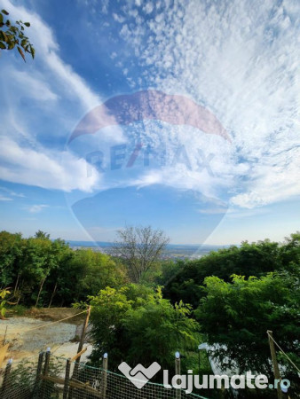 LOCATIE DEOSEBITA - Miron Costin 