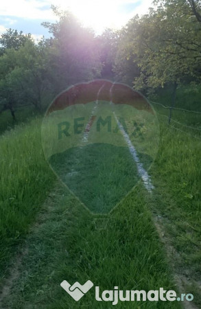 LOCATIE DEOSEBITA - Miron Costin 