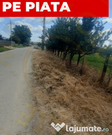 TEREN ZONA MUZEUL GOLESTI ARGES!! 