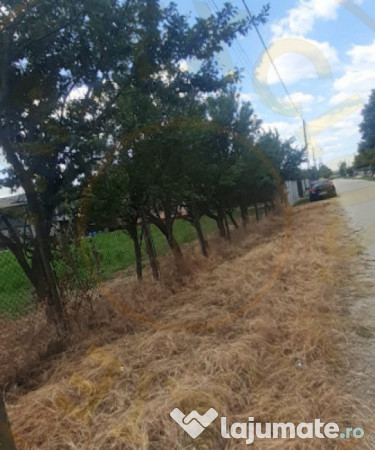 TEREN ZONA MUZEUL GOLESTI ARGES!! 