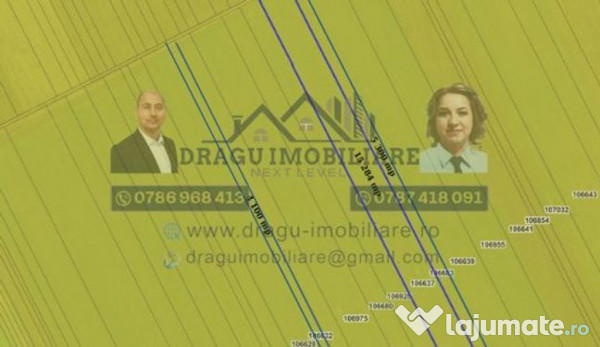 Teren agricol Munteni/Galati / 7.5 ha