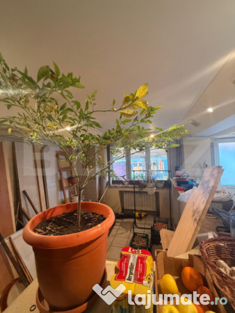 Casa spatioasa de inchiriat, 259 mp, zona Bereasca 