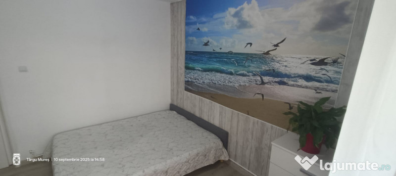 Execut amenajari interioare