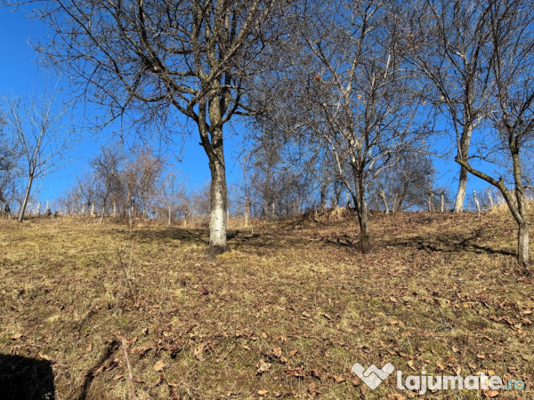 Casa gospodarului, bine întreținută, cu teren generos – Comarnic 