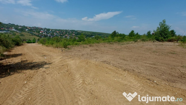 Teren intravilan , Bucium Barnova 