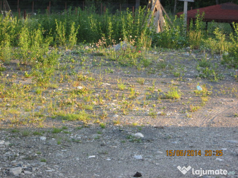 Teren intravilan situat in Brasov,Predeal, 