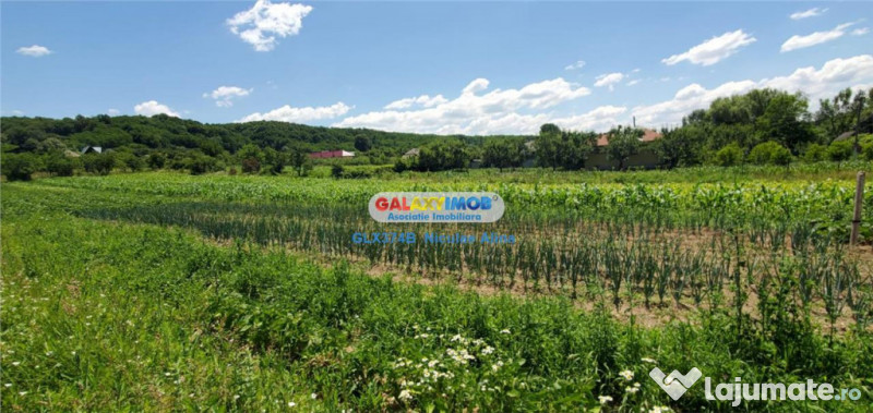 Teren intravilan comuna Bogati sat Birloi Jud. Arges 