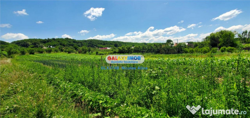 Teren intravilan comuna Bogati sat Birloi Jud. Arges 