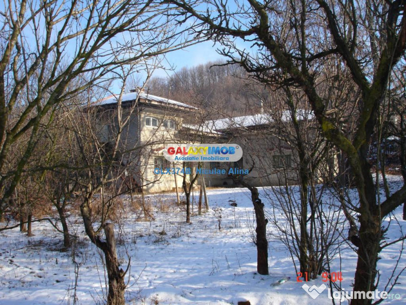 Teren intravilan comuna Bogati sat Birloi Jud. Arges 