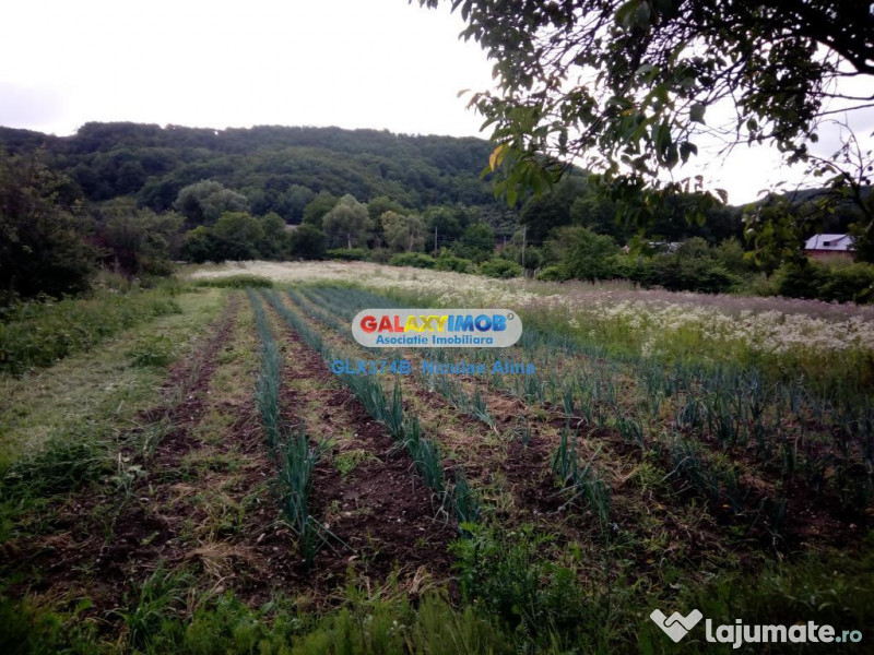 Teren intravilan comuna Bogati sat Birloi Jud. Arges 