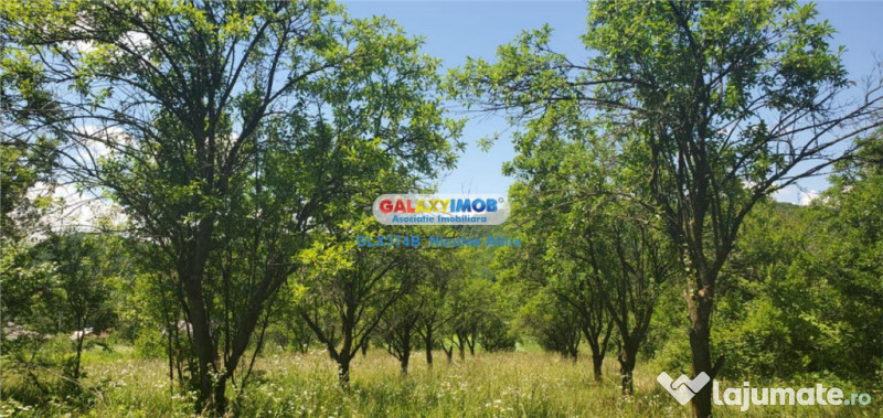 Teren intravilan comuna Bogati sat Birloi Jud. Arges 