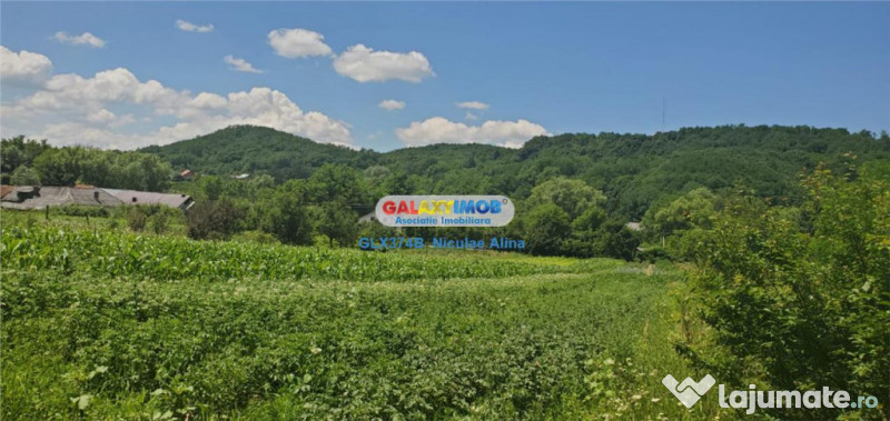 Teren intravilan comuna Bogati sat Birloi Jud. Arges 