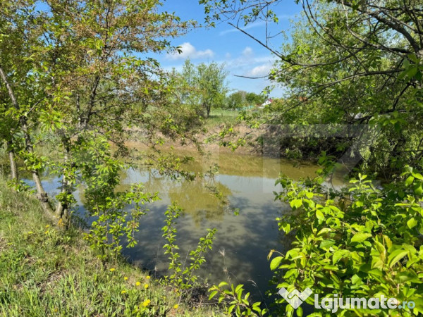 Teren 19000mp , iaz -120mp, Botosanita, Siret