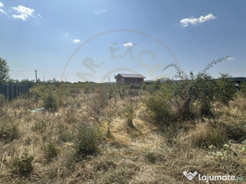 Teren Intravilan Magic Trivale - Aleea Bradului 1040 mp 