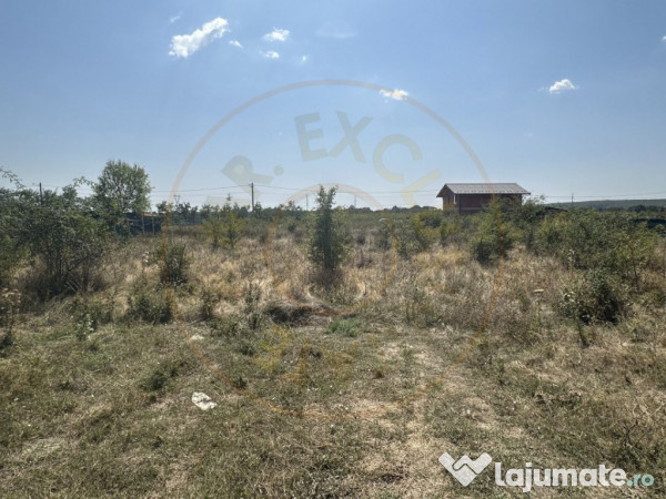 Teren Intravilan Magic Trivale - Aleea Bradului 1040 mp 