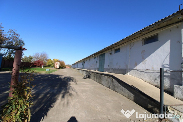 Hala in Independenta 