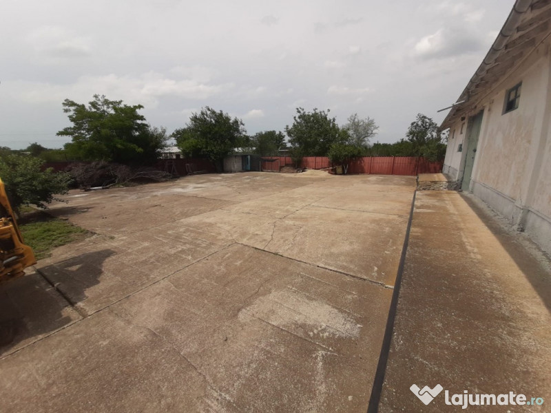 Hala in Independenta 