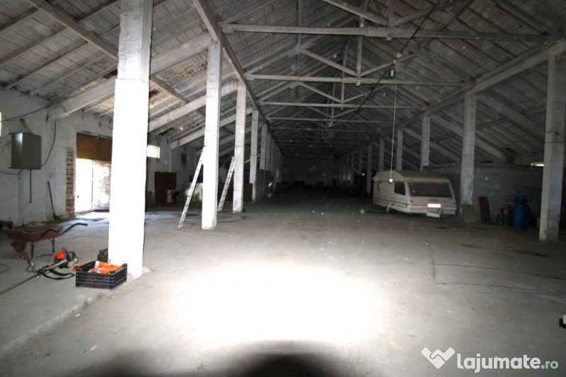 Hala in Independenta 