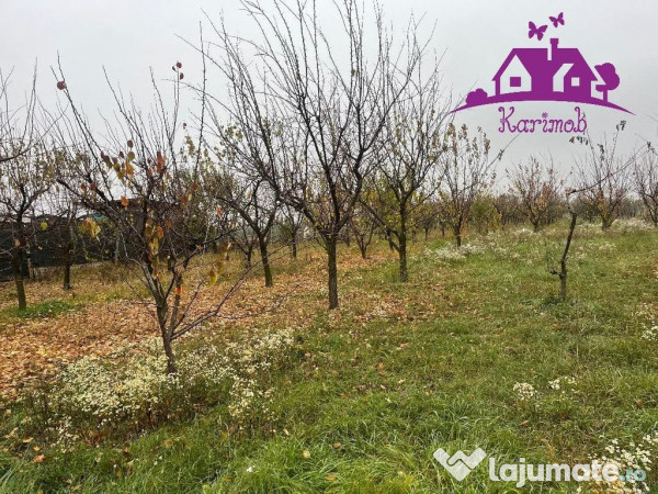 Parcela de teren Nojorid 