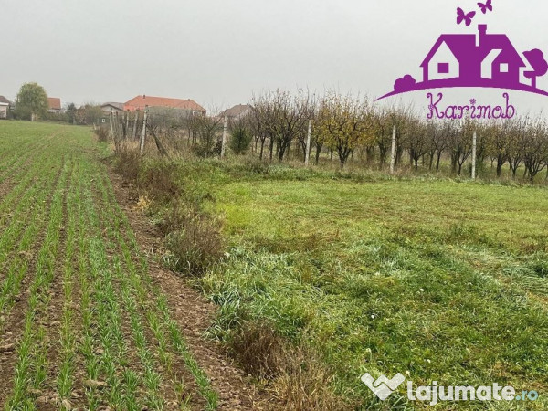 Parcela de teren Nojorid 