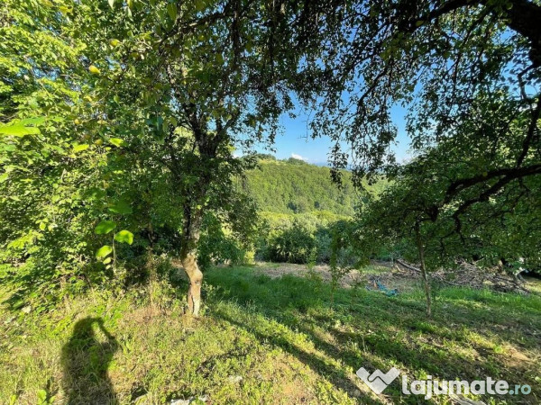 Teren zona turistica Rosia 