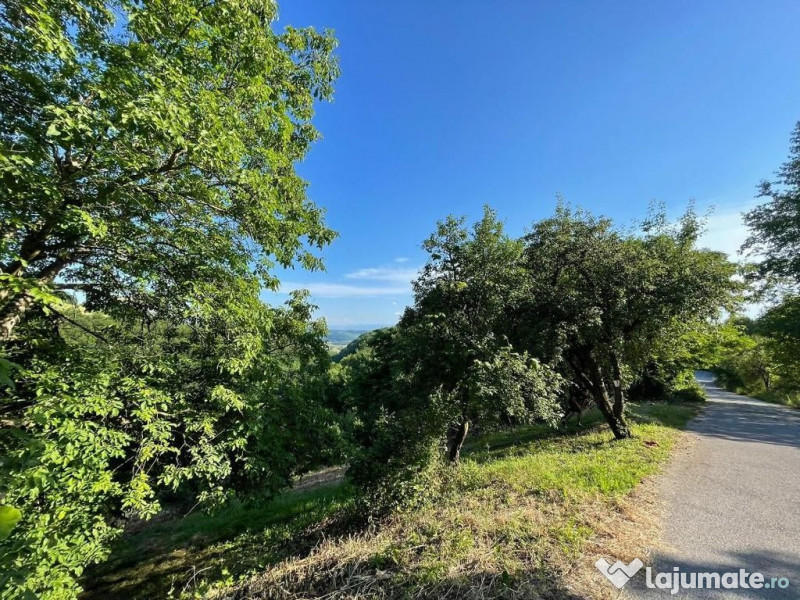 Teren zona turistica Rosia 