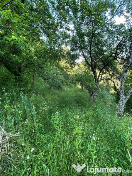 Teren zona turistica Rosia 