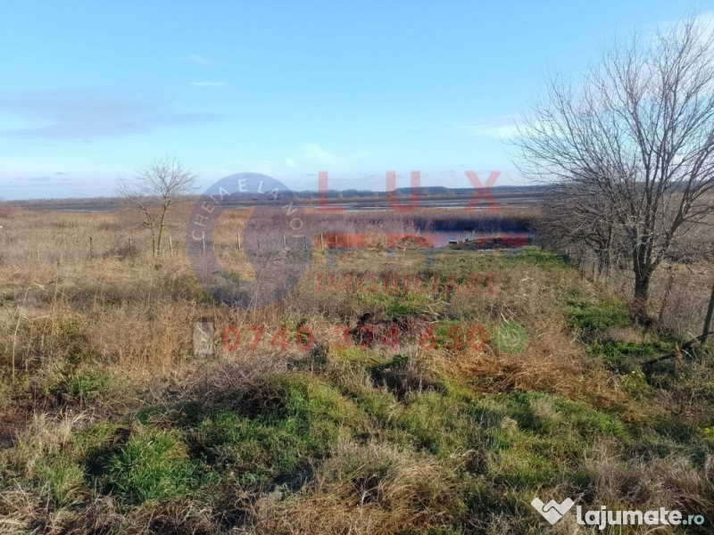 ID 7809 Teren intravilan in DUNĂVĂȚU DE SUS 