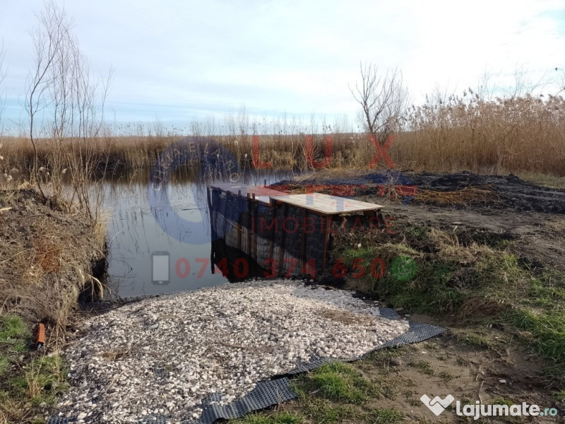 ID 7809 Teren intravilan in DUNĂVĂȚU DE SUS 