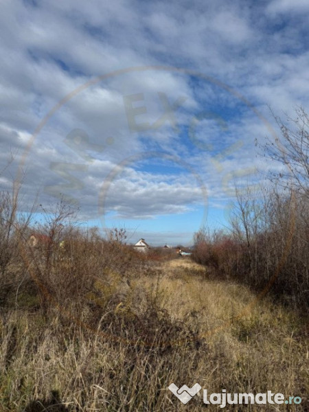 Comision 0 - Teren intravilan Prundu - Bananai - 2939 mp