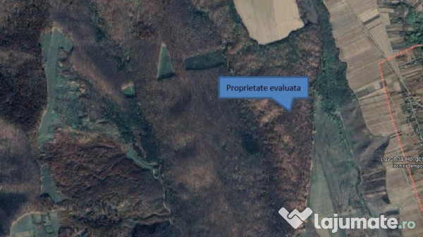 Teren extravilan padure, cota parte de 1/48 Horgesti, ID:... 