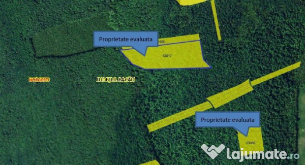 Teren extravilan padure, cota parte de 1/48 Horgesti, ID:... 