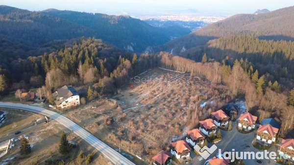 Teren 28.000mp Poiana MIca intre Monterai si Grand Chalet 