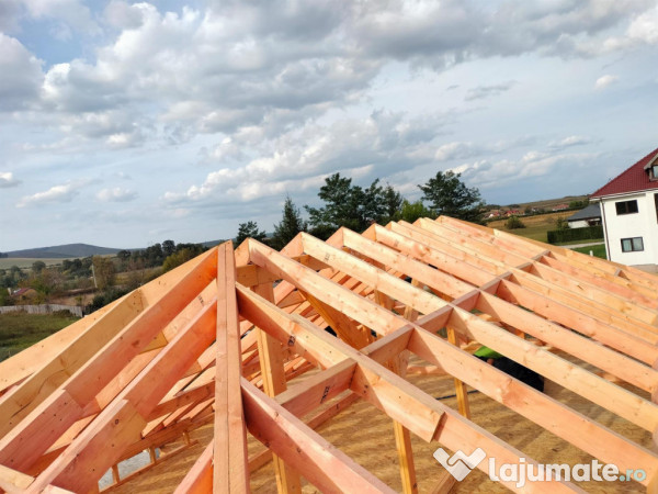 Case din lemn 115 Mp. in tot Jud. Timis 