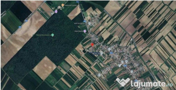 Casa si Teren Cosoba, ID: R2374849 