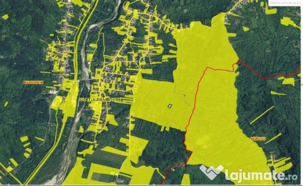 Teren Buciumeni, ID: R2431873