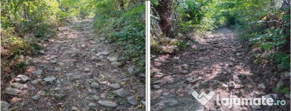 Teren Buciumeni, ID: R2431873