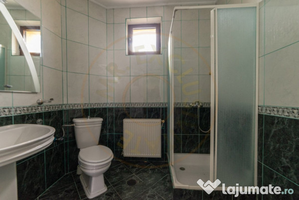 Vila - Piscina - Bradu! 