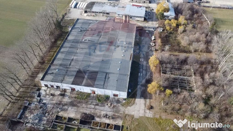 Spațiu industrial - de vânzare - GURA HUMORULUI