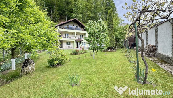 Casa De Vanzare Langa Padure 