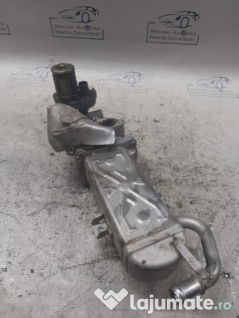 Racitor Gaze cu EGR Volkswagen Jetta 2.0 Motorina 2012