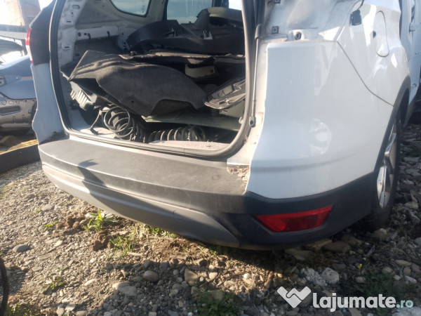 Bara spate Ford Kuga 2012