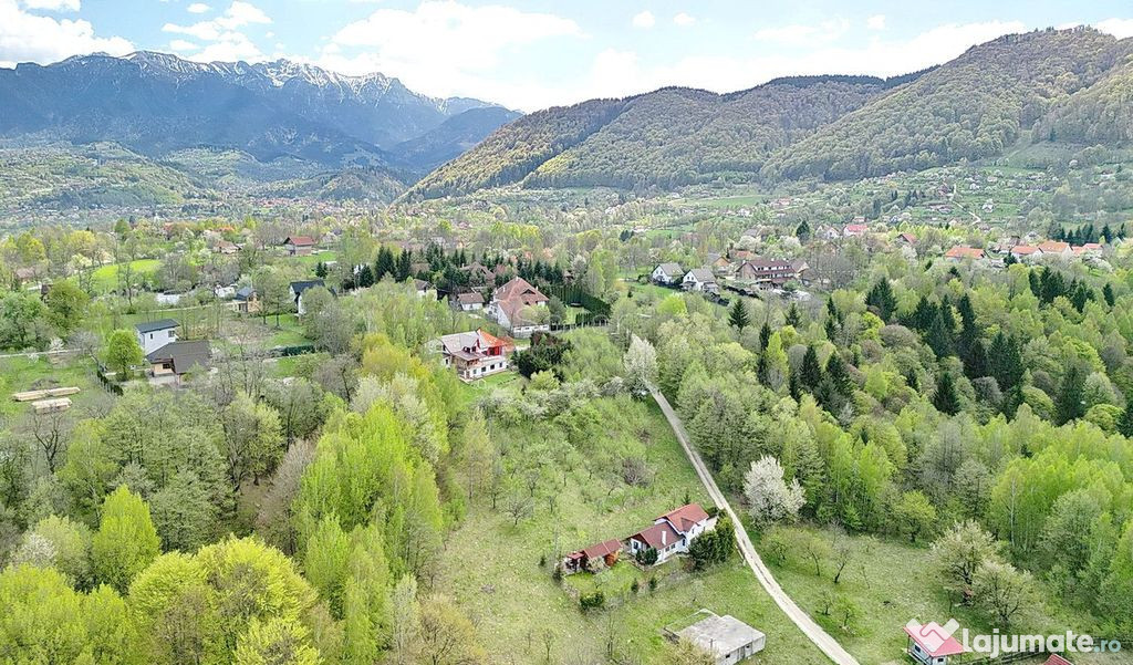 Teren intravilan Bran- Predelut