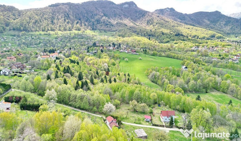 Teren intravilan Bran- Predelut