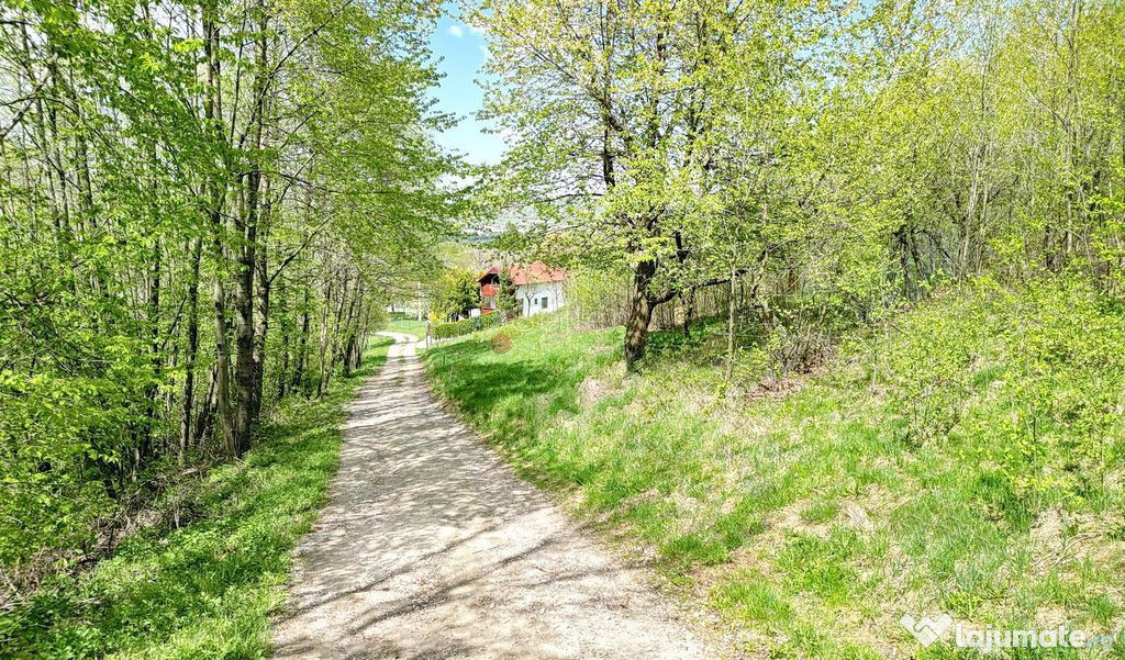 Teren intravilan Bran- Predelut