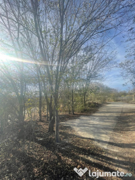 Teren intravilan situat in zona Agigea-Poarta 10 